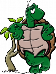 Turtlediet